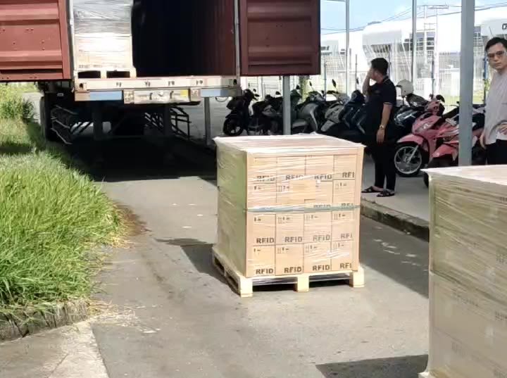 Container loading — shipping worldwide — SKY STAR factory
