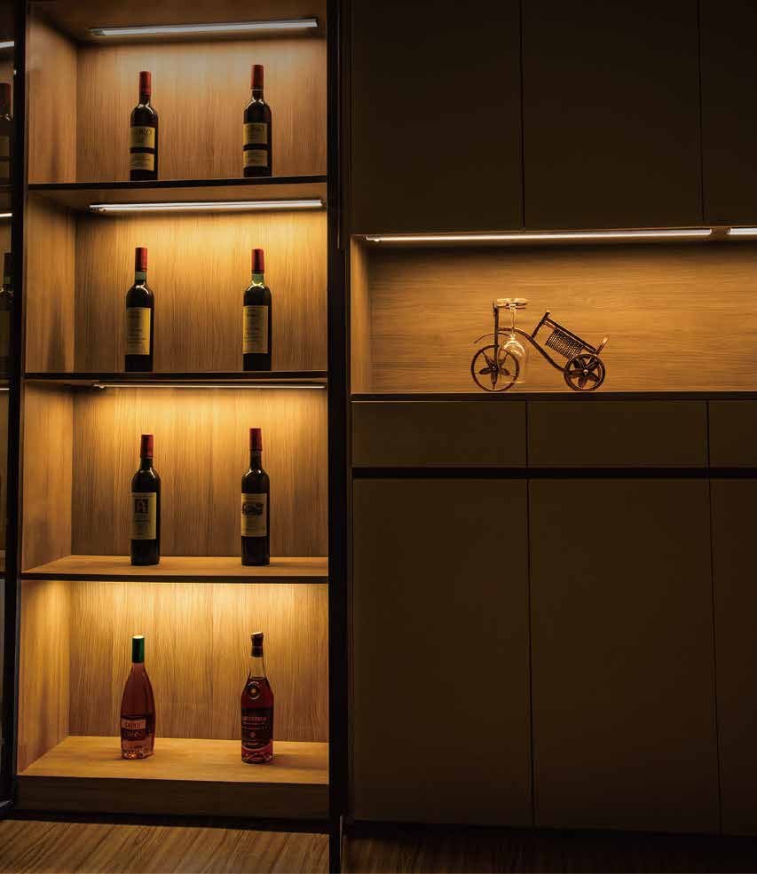 Wine-cabinet lighting — SKY STAR SMD LED Strip